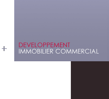 Développement en immobilier commercial